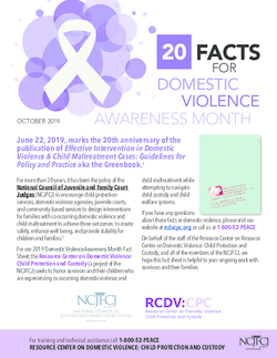 20 Facts for Domestic Violence Awareness Month