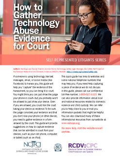 cover photo of 10 steps for presenting evidence in court document