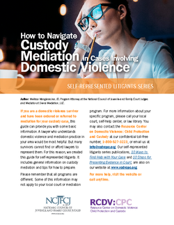 Cover Photo for How to Navigate Custody Mediation in Cases Involving Domestic Violence
