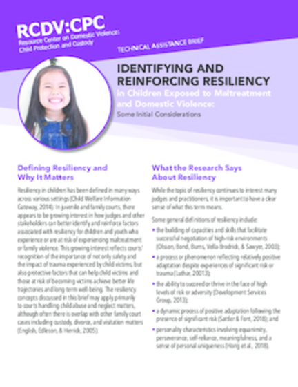 Identifying and Reinforcing Resiliency in Children Exposed to Maltreatment and Domestic Violence: Some Initial Considerations