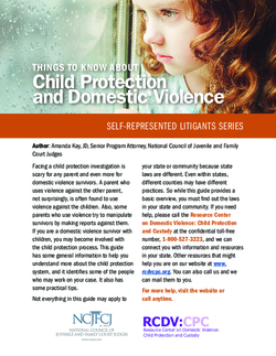 Things to Know About Child Protection and Domestic Violence Cover